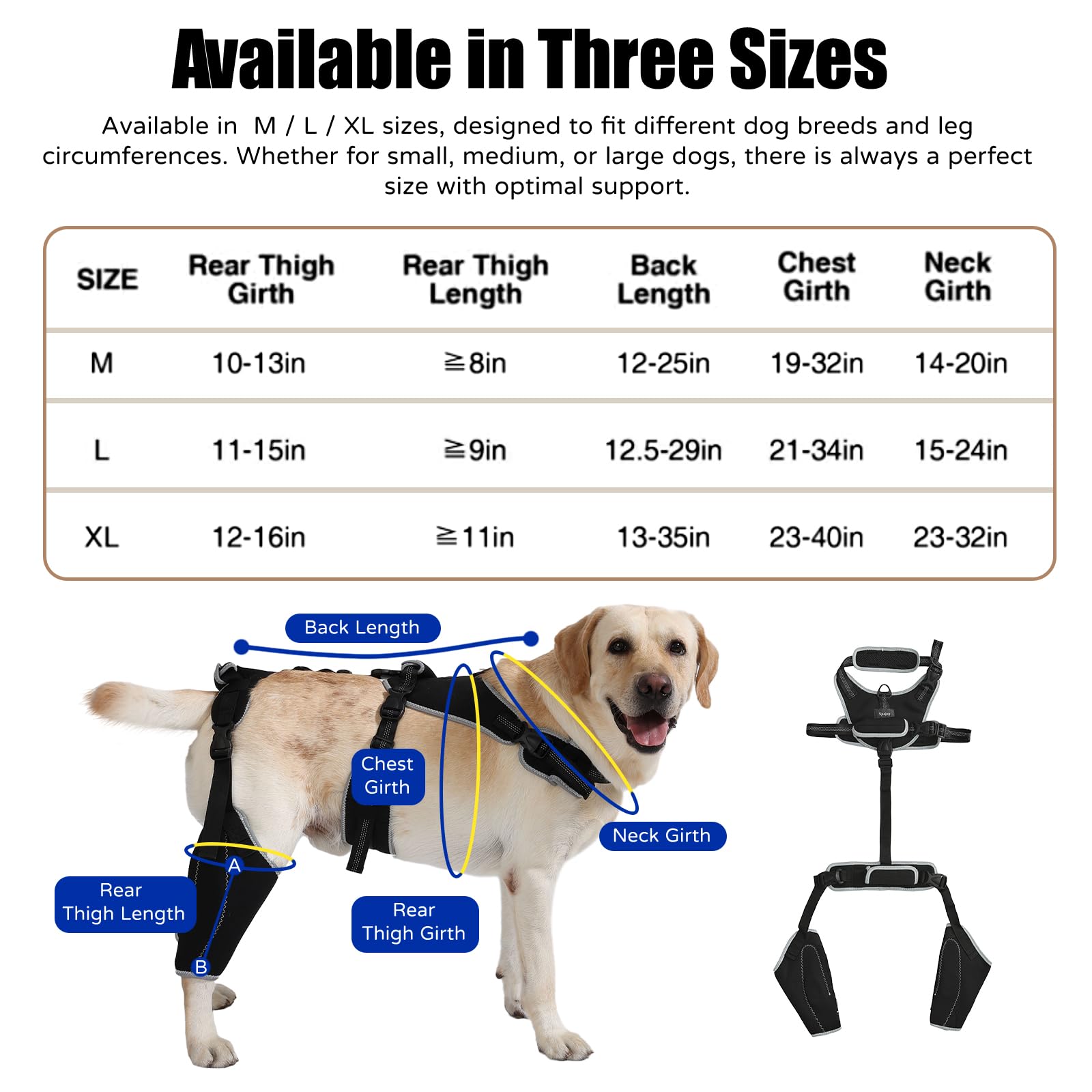 Adjustable Dog Knee Brace Support with Chest Harness
