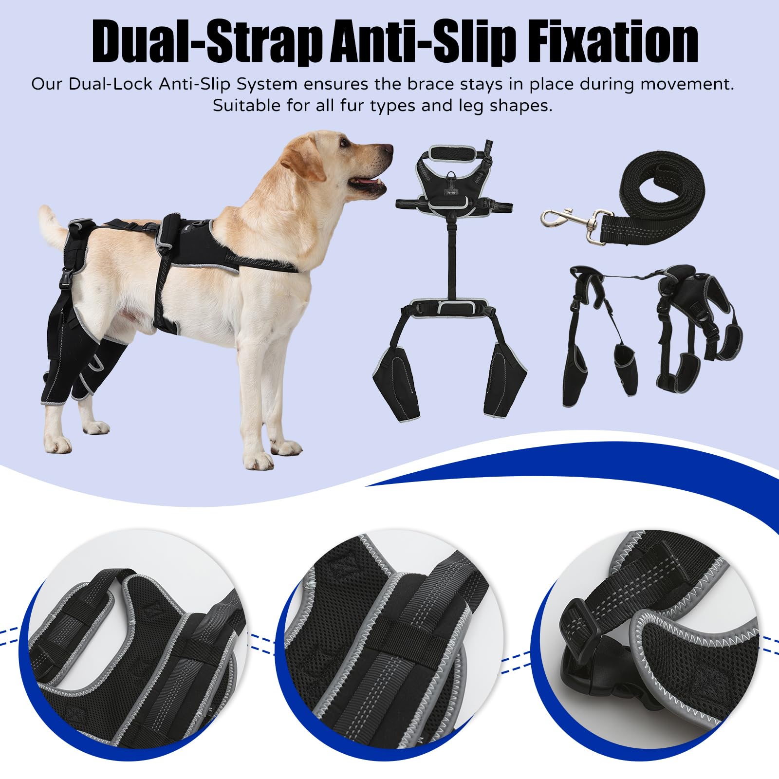 Adjustable Dog Knee Brace Support with Chest Harness
