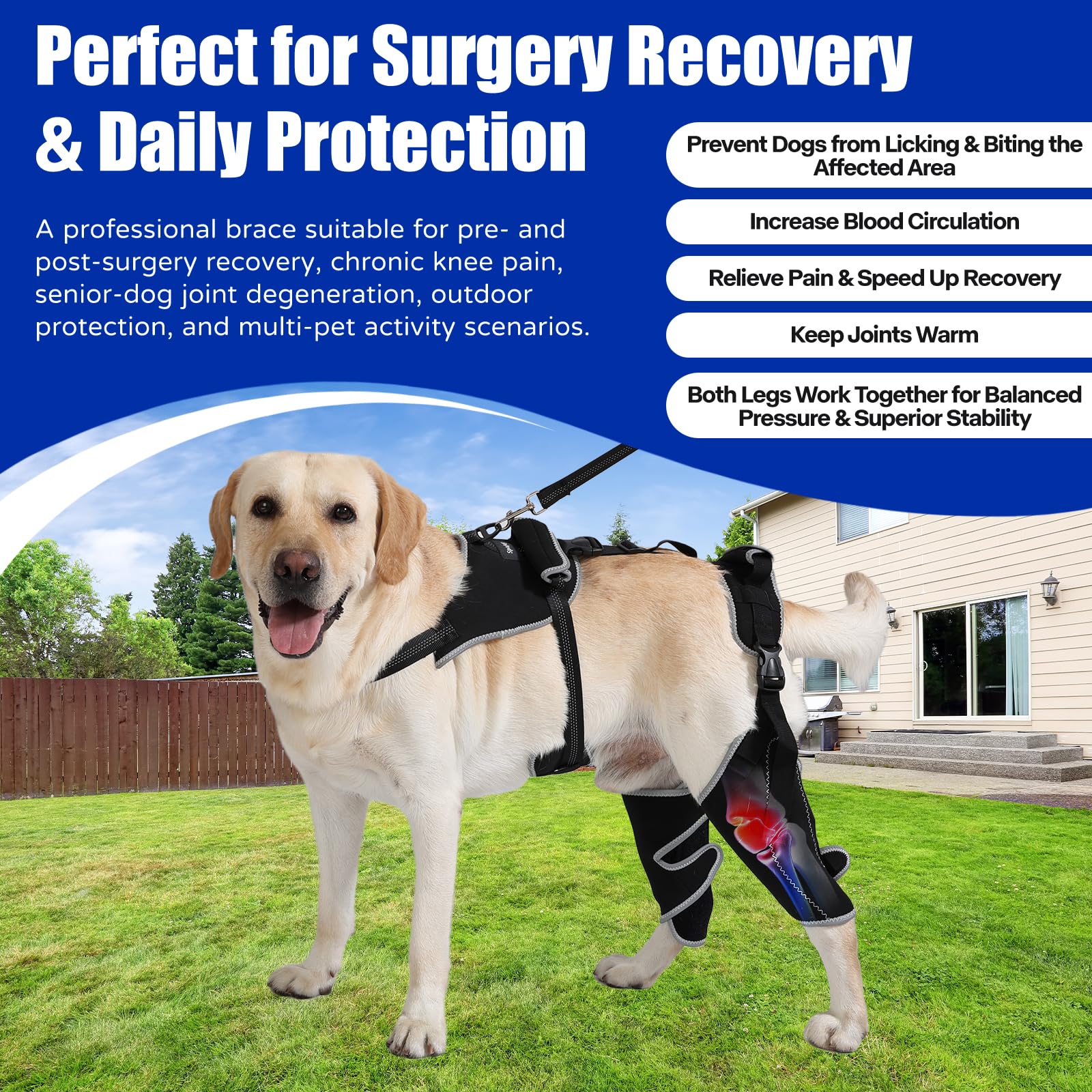 Adjustable Dog Knee Brace Support with Chest Harness