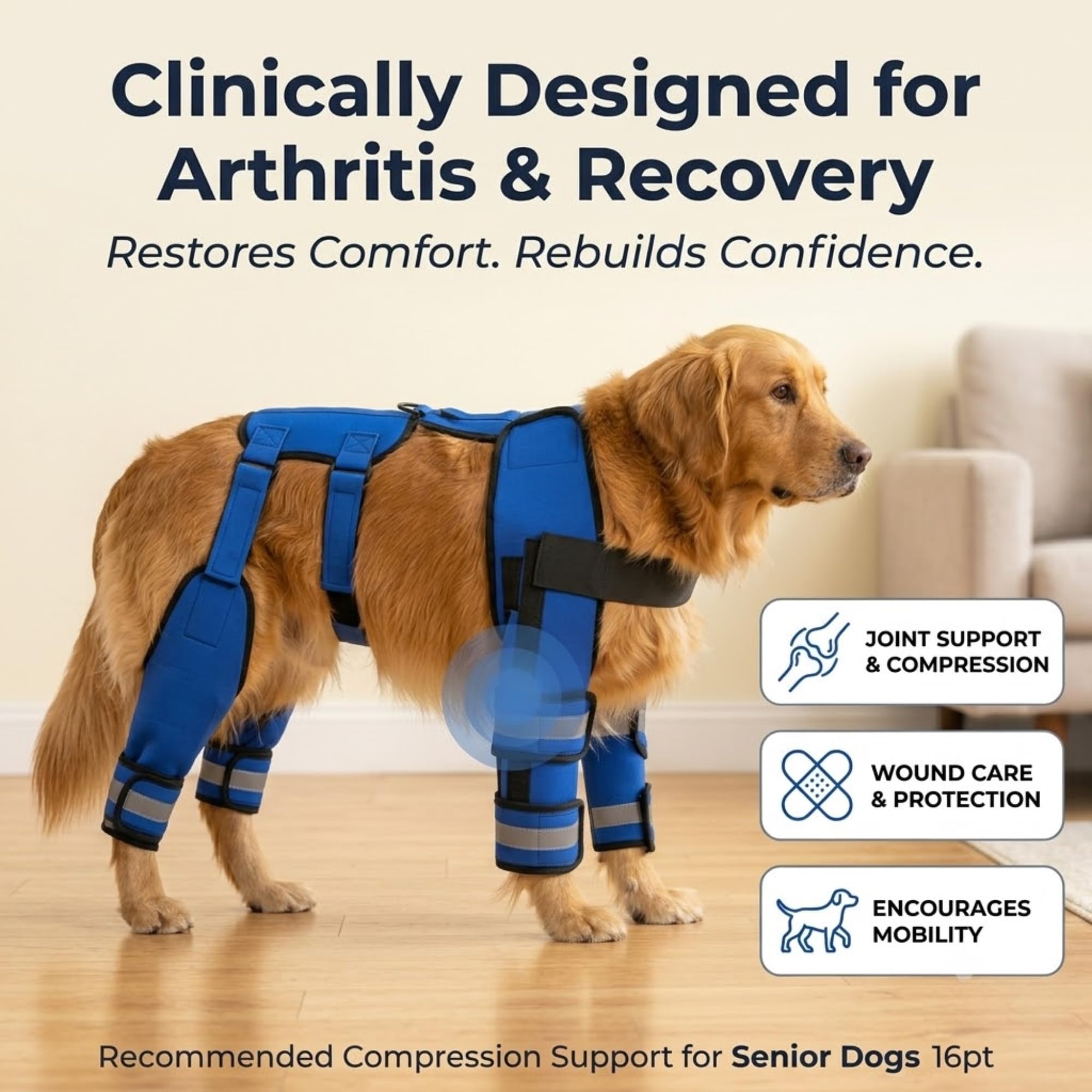 Adjustable Elbow and Knee Support for Front Legs