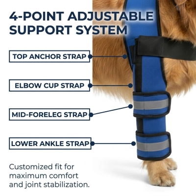 Adjustable Elbow and Knee Support for Front Legs 02
