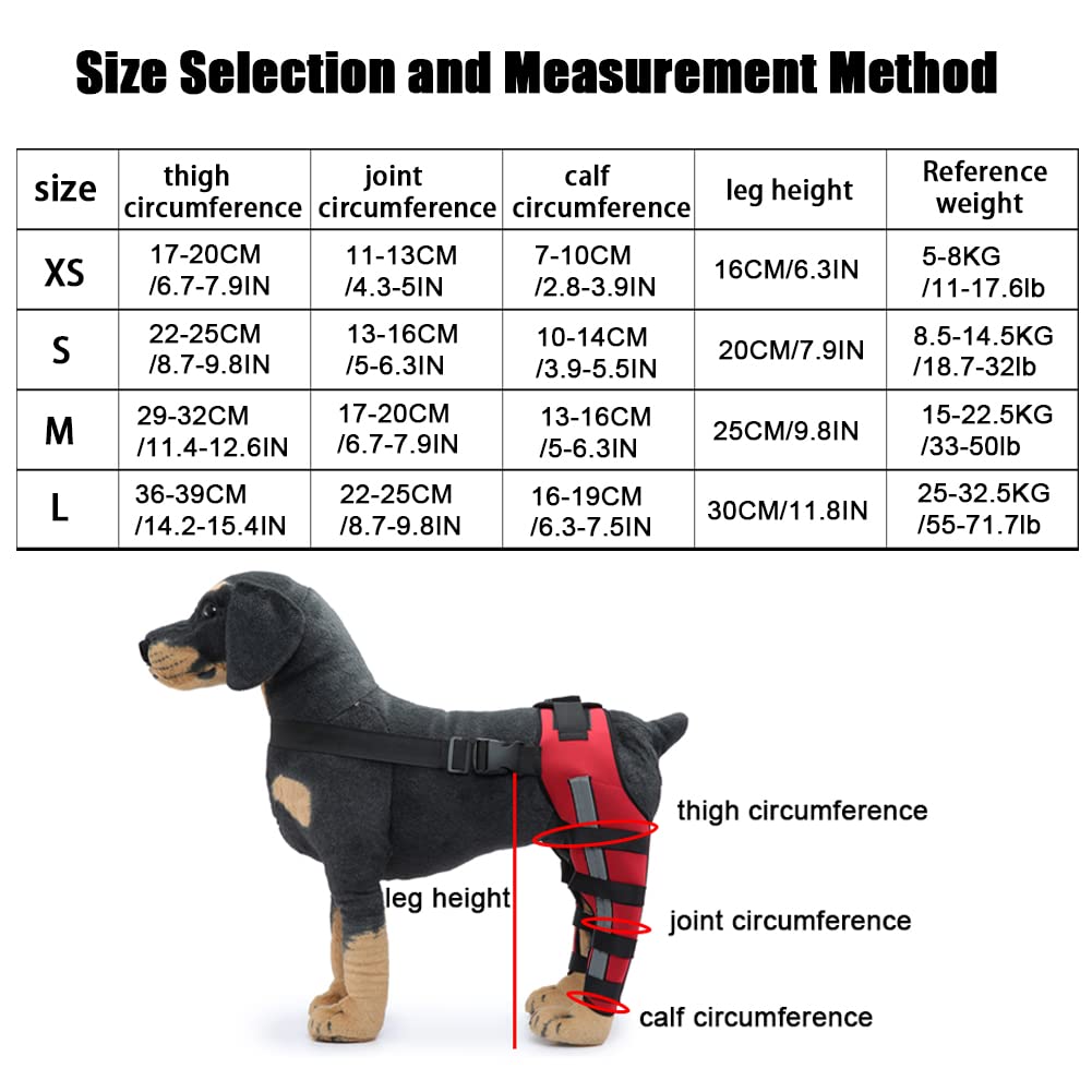 Dog Knee Brace Adjustable Dog Double Rear Leg Brace with Metal Support