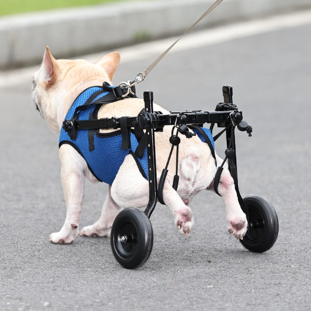 Hind Leg Dog Wheelchair with Vest Harness