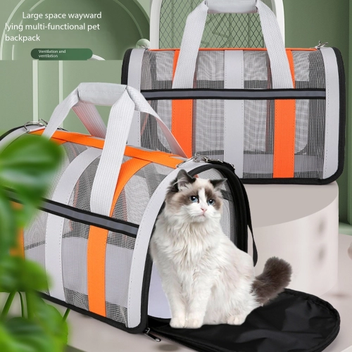 Elevating Pet Experiences with Personalized Accessories