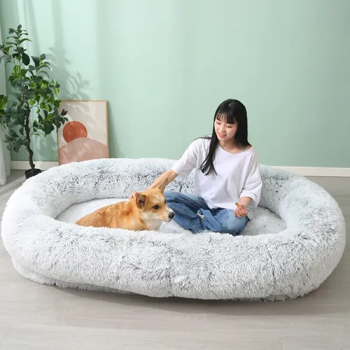  Inside the World of Human-Sized Dog Bed Manufacturing