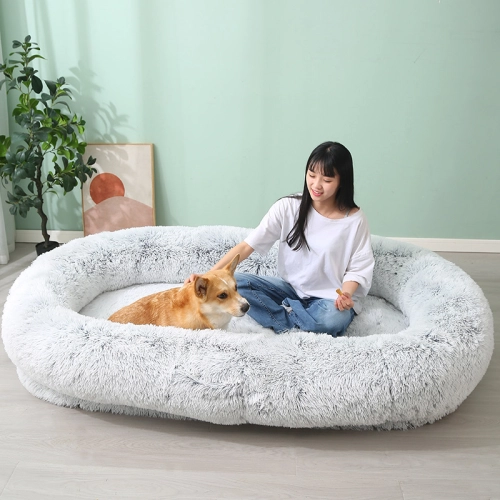  Inside the World of Human-Sized Dog Bed Manufacturing