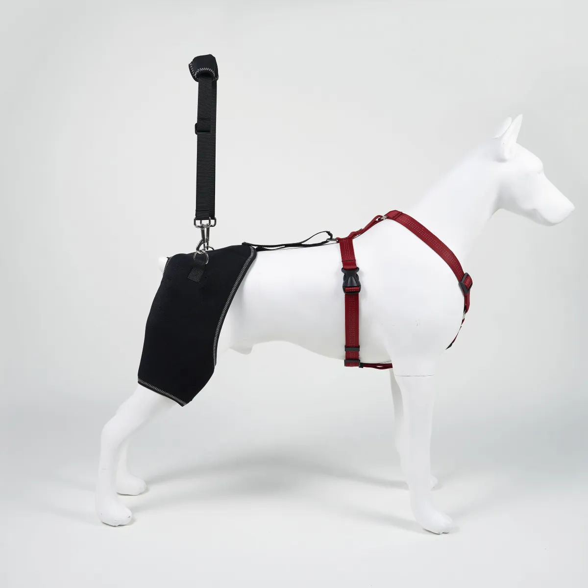 Elevate Your Product Line with Furvorite’s Dog Hip Dysplasia Brace