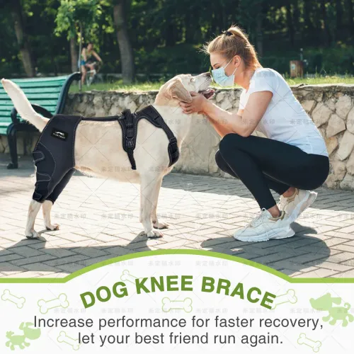 Comfortable Protection for Your Dog's Hind Legs: Exploring the Benefits and Choices of Fabric Knee Brace