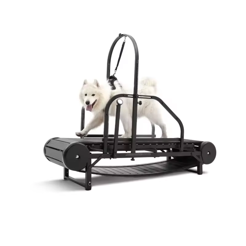 Dog treadmill