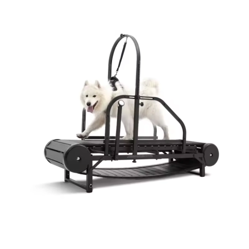 Can Dog Treadmills Really Help Dogs Lose Weight?