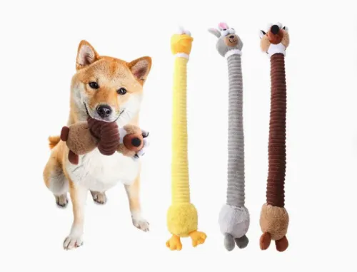 Are Chew Toys a Necessity for Dogs?