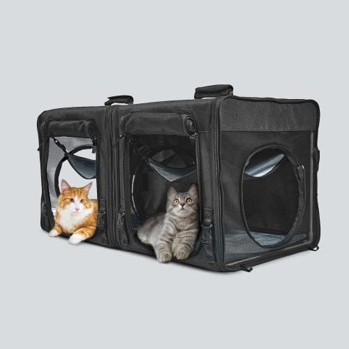 Pet Tunnel Bag vs. Regular Pet Carrier: How to Choose the Best Travel Bag for Your Pet
