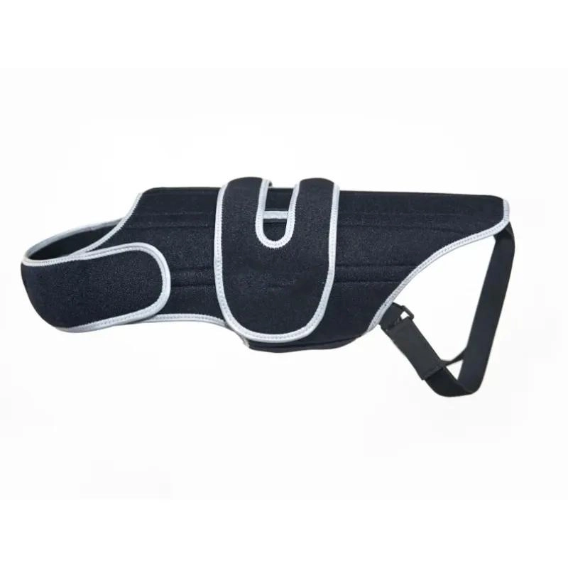 Dog Intervertebral Disc Disease (IVDD) Brace: A Key Tool for Spinal Health