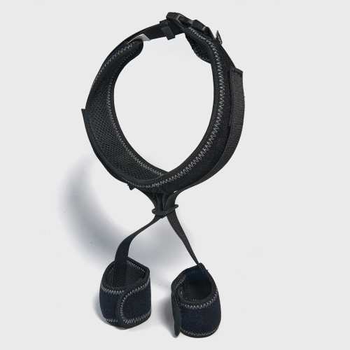 A Comprehensive Analysis of Hip Correction Braces for Dogs: A Must for Improving Mobility and Joint Health