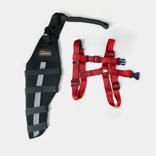 Make It Easy for Dogs to Say Goodbye to Joint Pain: New Reflective Support for Double Protection of Hind Legs!