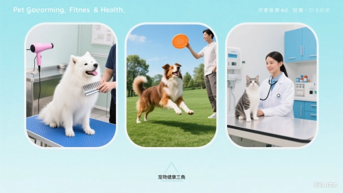 The Future of Pet Wellness: Why Grooming, Fitness, and Health Now Go Hand in Hand