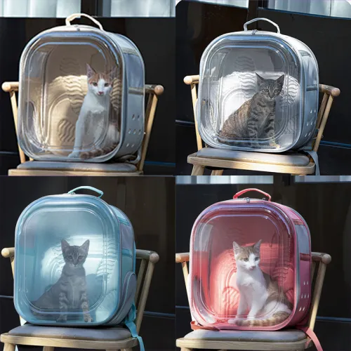Redefining Pet Travel: Why the Cat Dome Backpack is the New Must-Have for Stylish Pet Parents