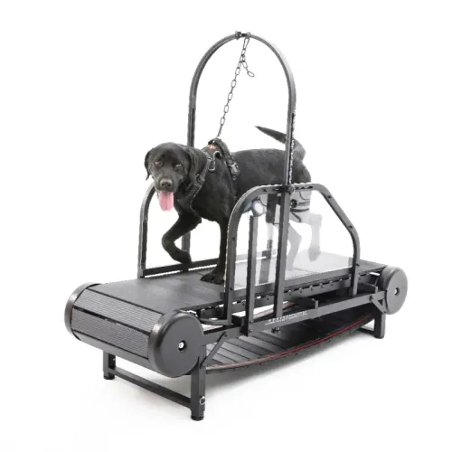 🐾 Bulk Buying Pet Treadmills: What Retailers Should Consider
