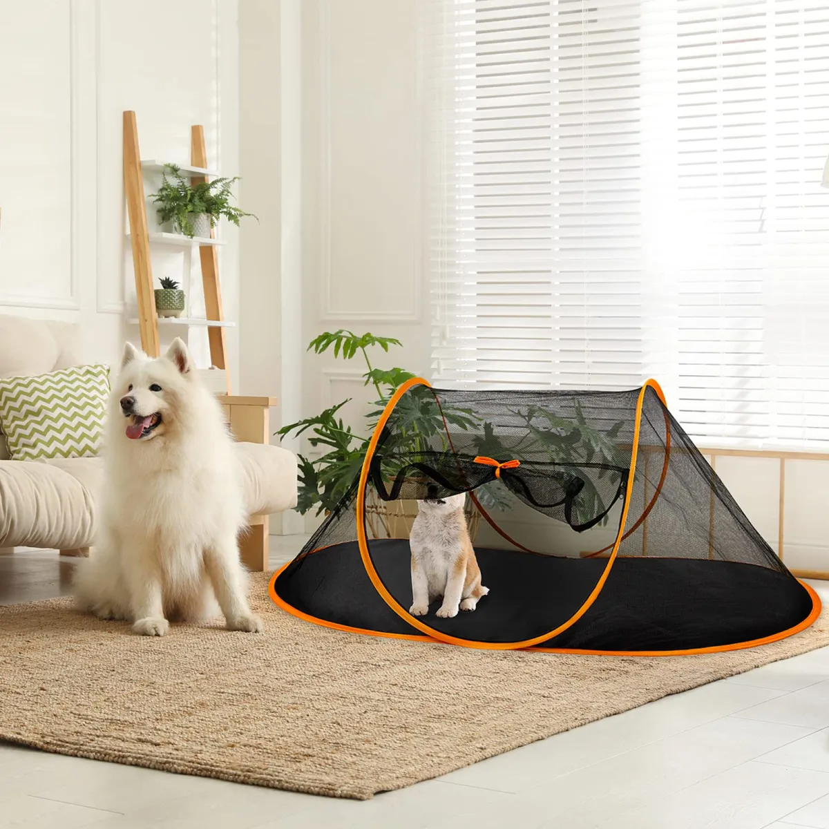  dog tent