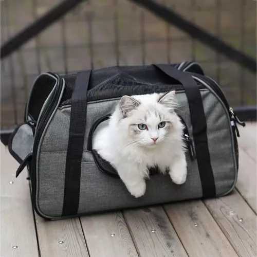 Choosing the Best Custom Pet Carrier Manufacturer: A Retailer’s Guide