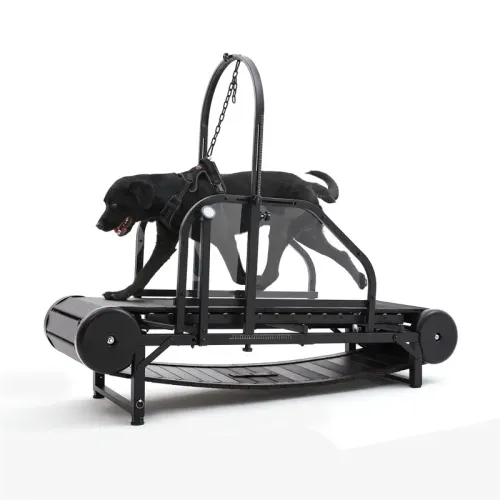 How to Sell Indoor Dog Exercise Equipment Online: A Complete Guide for Retailers