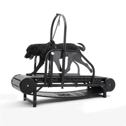 How to Sell Indoor Dog Exercise Equipment Online: A Complete Guide for Retailers