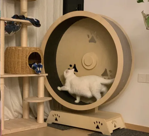 Bulk Buying Cat Treadmills: Tips for Pet Product Retailers