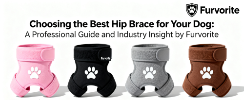 Choosing the Best Hip Brace for Your Dog: A Professional Guide and Industry Insight by Furvorite