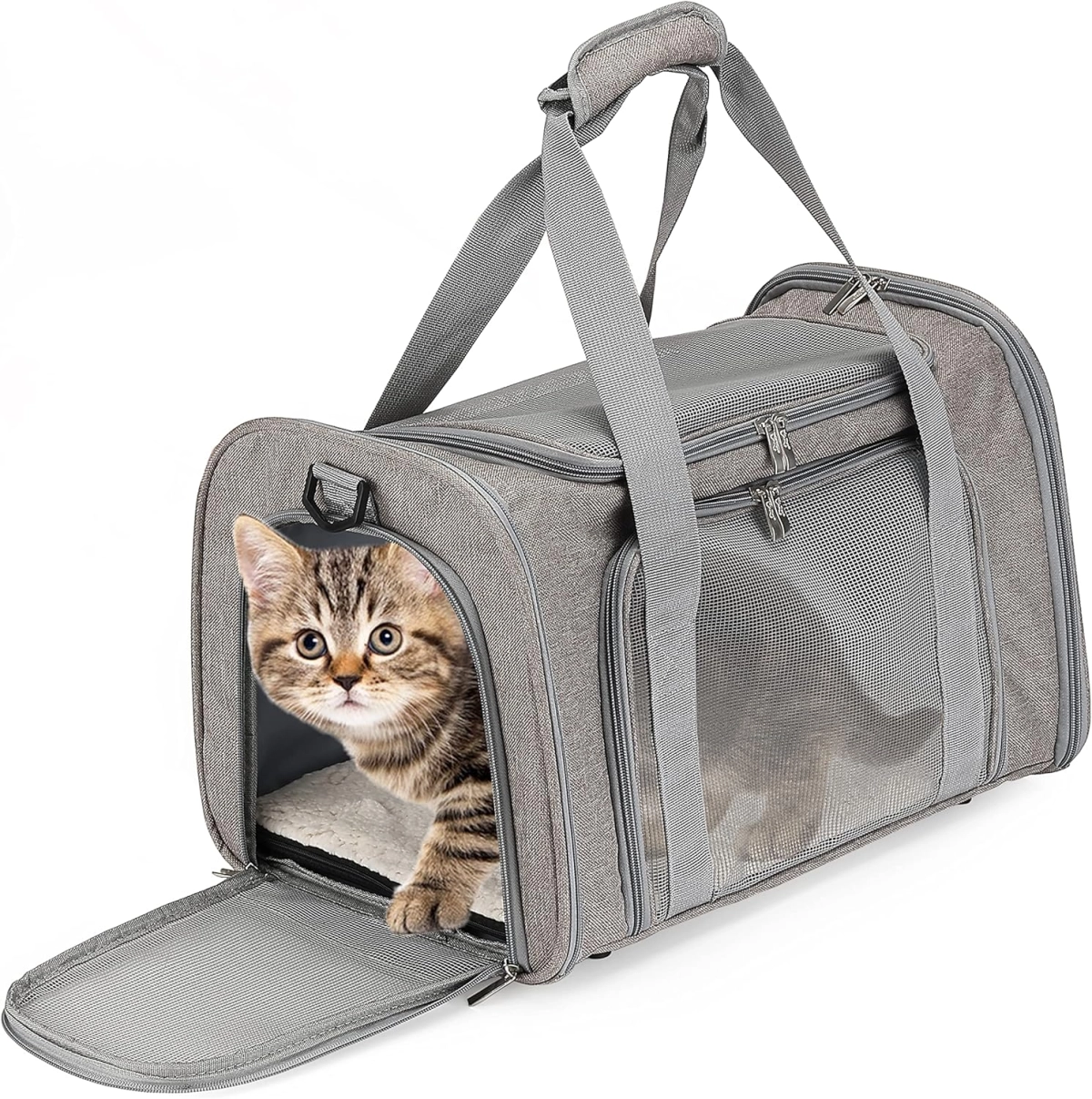 Pet Carrier 101: How to Choose the Perfect One for Your Furry Adventure Buddy
