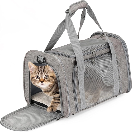 Pet Carrier 101: How to Choose the Perfect One for Your Furry Adventure Buddy