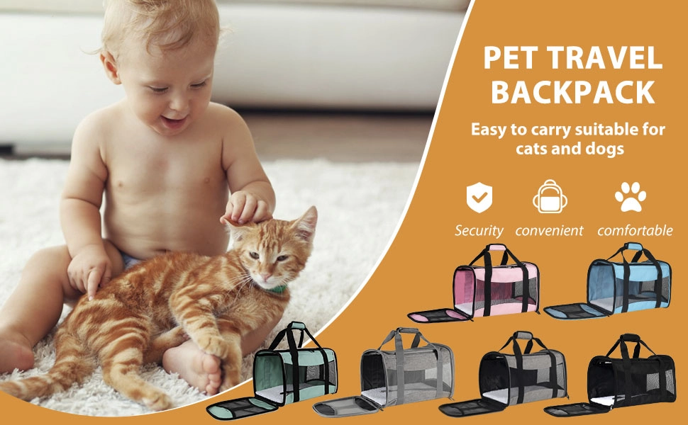 Customized Pet Products Enhance The Comfort Of Pets
