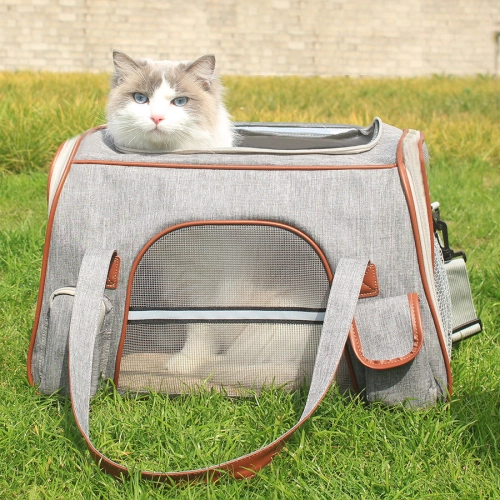How to choose the perfect carrier for your cat