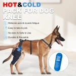 Love Your Senior Dog: Protect Aging Joints From Stiffness & Arthritis