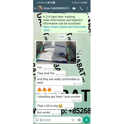 OG Dunk Low Premium White Game Royal,CJ6884-100 02