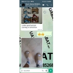 OG Yeezy Slide BONE, FW6345