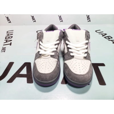 Uabat Dunk SB Low Purple Pigeon,304292-051 02
