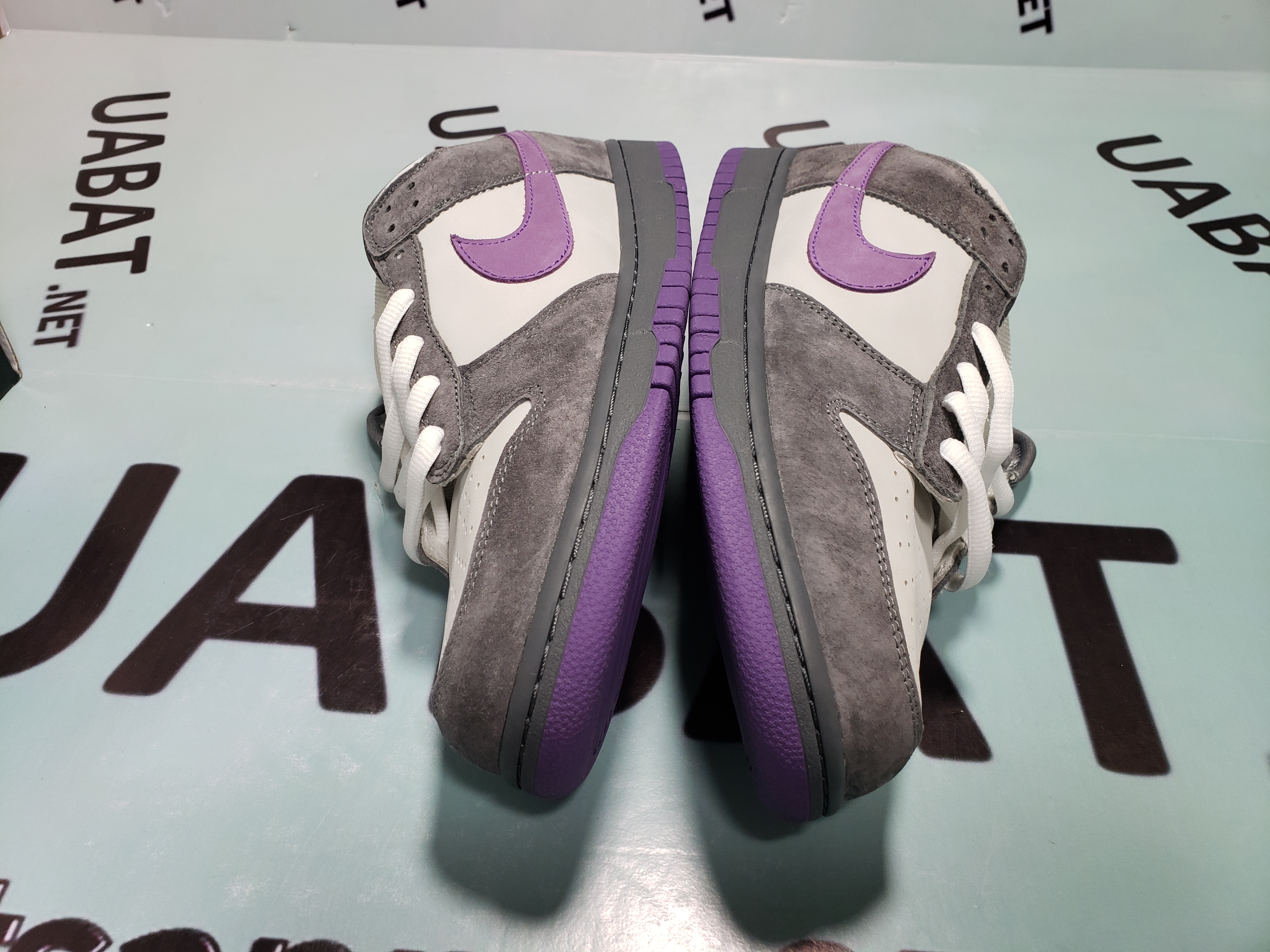 Uabat Dunk SB Low Purple Pigeon,304292-051