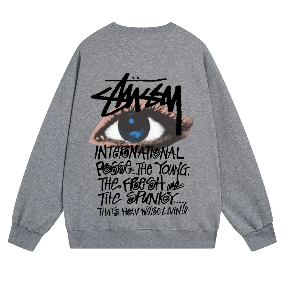 Stussy Hoodie Grey,XB520