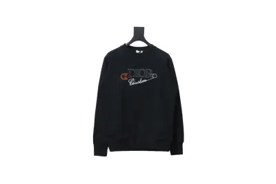 Dior CD pin embroidered round neck Hoodie 01