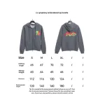  Louis Vuitton fantasy color embroidery Hoodie