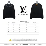 Louis Vuitton letter towel embroidery round neck Hoodie 2