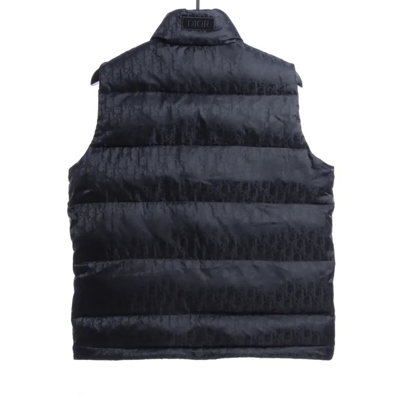 Dior full-grain dark pattern Vest Down Jacket