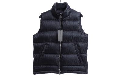 Dior full-grain dark pattern Vest Down Jacket 01