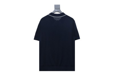 Dior 24ss Embroidered small logo knitted Polo T-Shirts 02