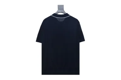 Dior 24ss Embroidered small logo knitted Polo T-Shirts 02