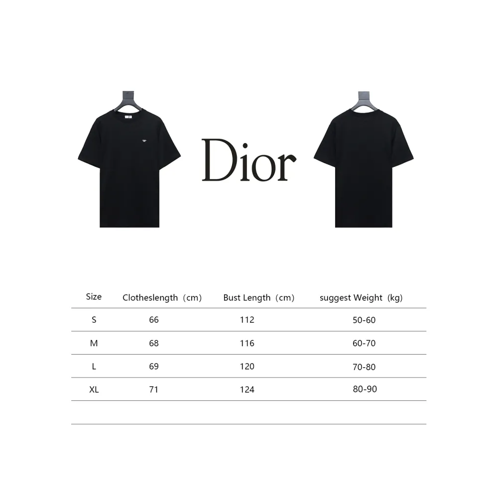 Dior classic bee embroidered T-Shirts 2