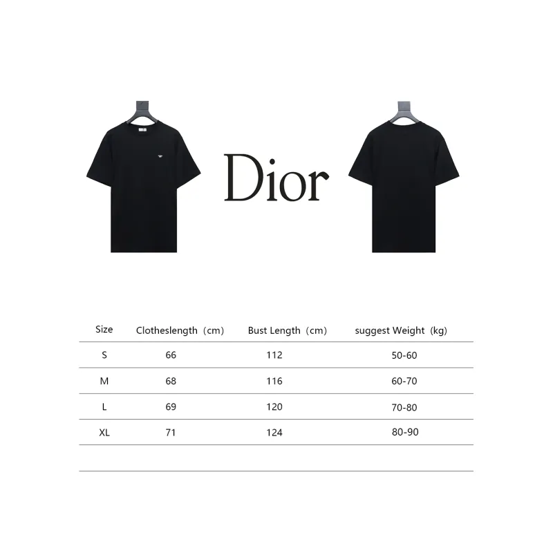 Dior classic bee embroidered T-Shirts 2
