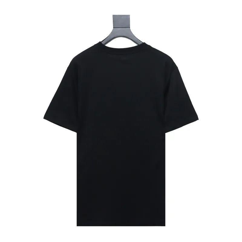 Dior classic bee embroidered T-Shirts 2