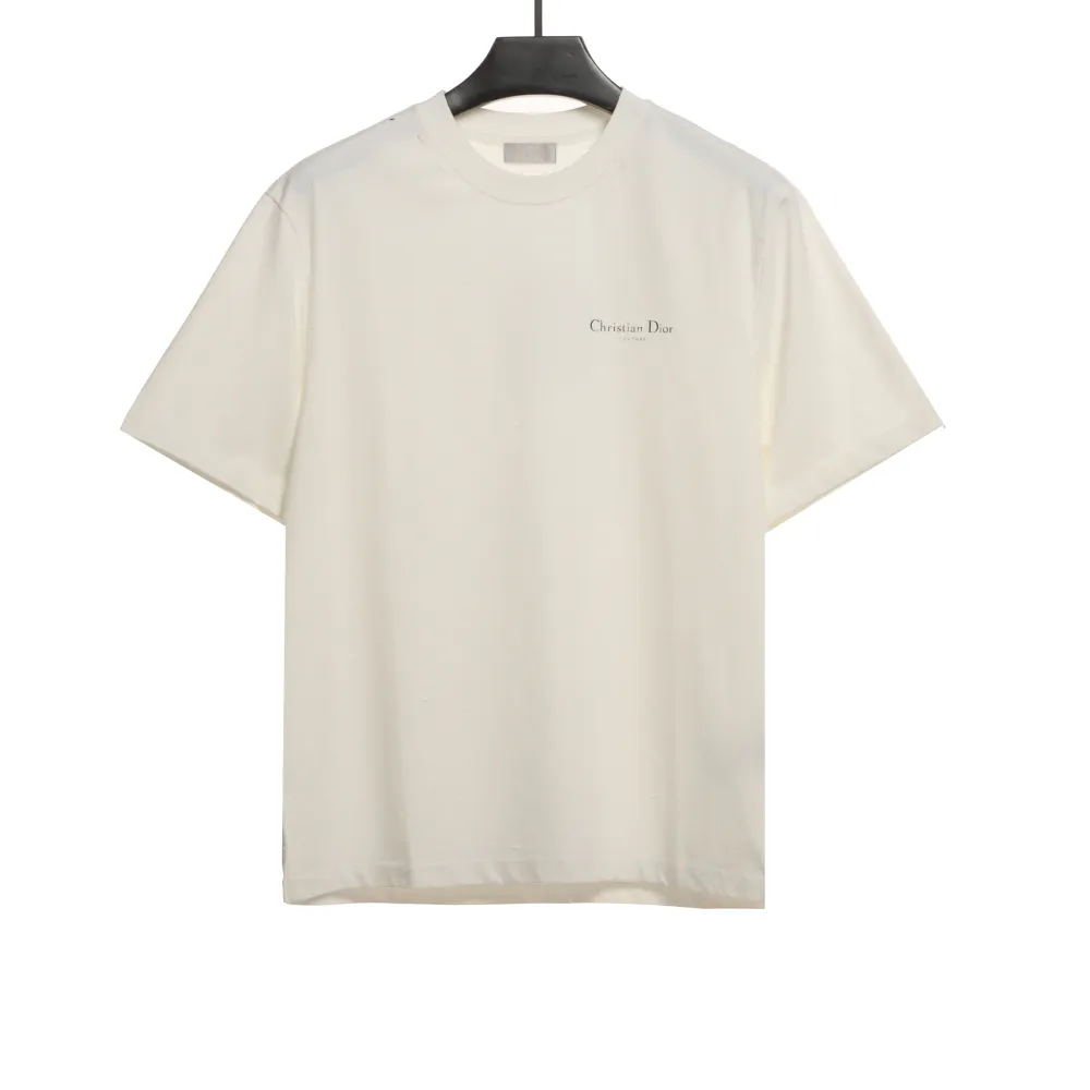 Dior Huang Zitao's same style destroyed signature logo T-Shirts 2