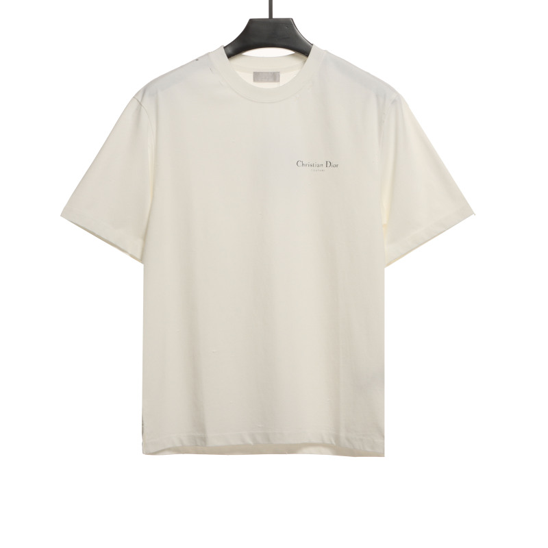Dior Huang Zitao's same style destroyed signature logo T-Shirts 2